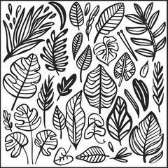 black doodle elements, exotic tropical leaves