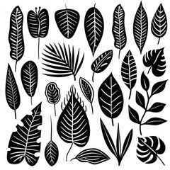 Fototapeta na wymiar black doodle elements, exotic tropical leaves