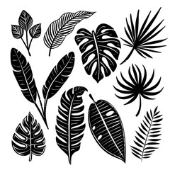 black doodle elements, exotic tropical leaves
