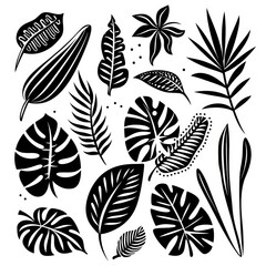 black doodle elements, exotic tropical leaves