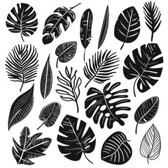 black doodle elements, exotic tropical leaves