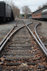 Obraz premium railway in the countryside