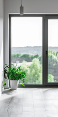 Fototapeta premium Minimalist interior design composition with natural window light and indoor plants.