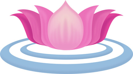 Lotus flower illustration