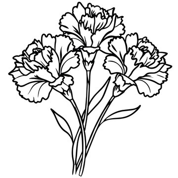 recommend clip art: Carnation Flower Bouquet outline illustration coloring book page design, Carnation Flower Bouquet black and white line art drawing coloring book pages for children and adults