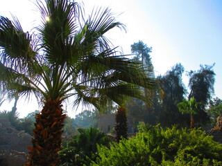 The Fish Grotto Garden in Cairo in Egypt 