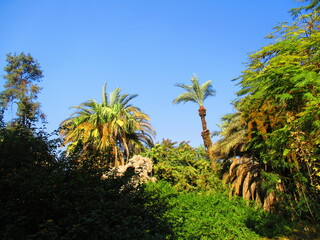 The Fish Grotto Garden in Cairo in Egypt 