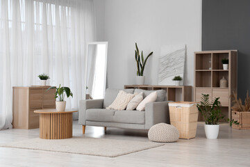 Interior of modern living room with sofa, basket and plants