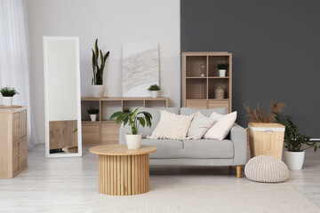 Interior of modern living room with sofa, basket and plants