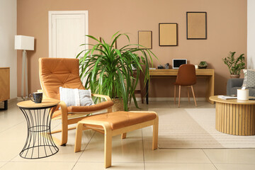 Interior of stylish living room armchair, cushions, houseplant and coffee table