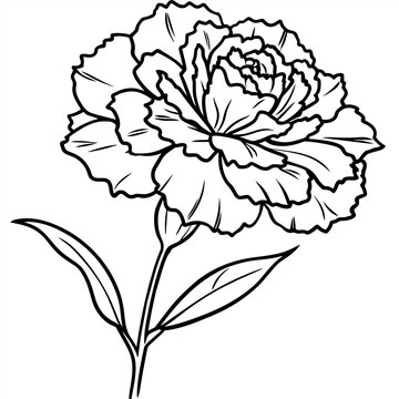 recommend clip art: Carnation flower plant outline illustration coloring book page design, 
                    Carnation flower plant black and white line art drawing coloring book pages for children and adults