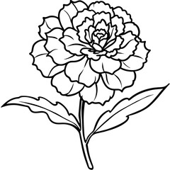 Carnation flower plant outline illustration coloring book page design, 
Carnation flower plant black and white line art drawing coloring book pages for children and adults