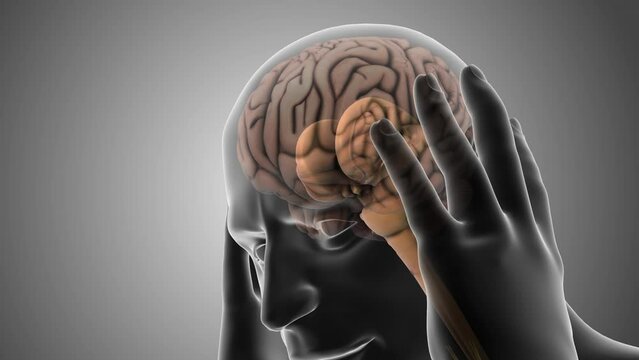 Dopamine is the neurotransmitter that causes pleasure