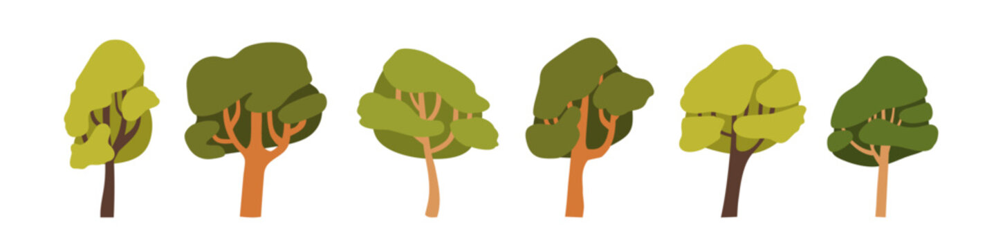 Forest trees collection. Botanical elements, foliage deciduous plants set. Crown, trunk, leaves and branches of oak, maple, ash. Flat graphic vector illustration isolated on white background