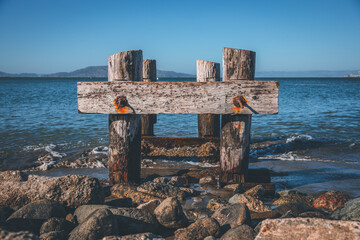 Naklejka premium beach