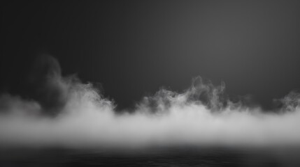 Fototapeta premium white smoke on a black background