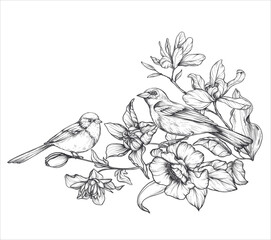 Beautiful hand drawn vector composition with black and white blooming spring garden flowers, butterflies