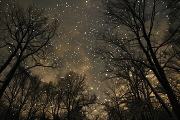 Dark, starry sky with twinkling stars above the silhouette. Generative Ai