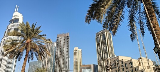 Dubai Downtown in UAE