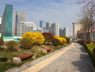 Landscape of a modern city in China. View from the top. Skyscrapers. Qingdao.