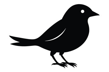 Simple Birds vector design