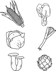 Fototapeta premium vegetables element design for templates.
