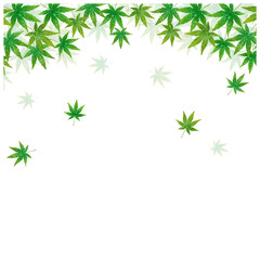 青もみじが舞う水彩フレーム背景