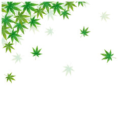 青もみじが舞う水彩フレーム背景