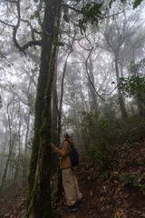 Naklejka premium Woman Hikers Admiring and Forest walk and camping adventures