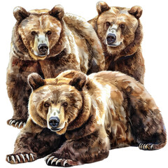 Fototapeta premium three brown bear