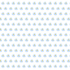 Spring seamless pattern rows meadow daisies white Summer template Blooming wildflower ditsy ornament wrapping fabric wallpaper textile mosaic vector