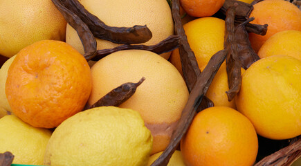 oranges and citrus fruits