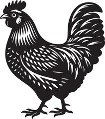 Hen Vactor -Rooster and Chicken -Hen Chicken Silhoutte Images
