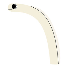 Sharp garden eel single 3 cute, png illustration.