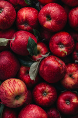 Lots of red apples. Tasty and juicy. Background of apples
