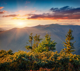 Carpathian mountains at sunset, Ukraine, Europe. Coolrful summer evening in mountains valley....