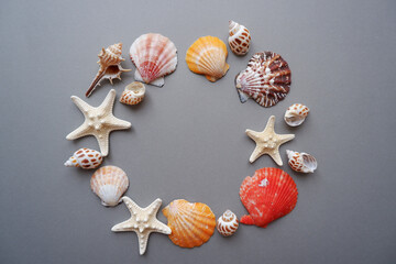 Colorful seashells and starfish decoration background. Summer and tropical concept decorative design background. 