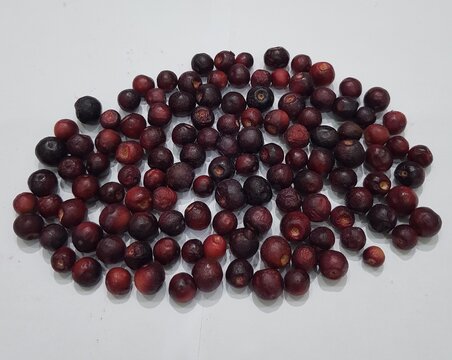 Black and red grewia fruit