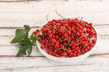 Sweet ripe red currant berries