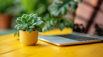 Small Succulent on Yellow Desktop Generative AI