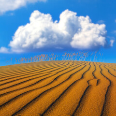 wide sandy desert under a cumulus clouds