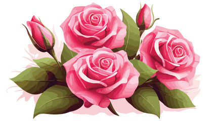 Beautiful pink roses with leaves and petals on white