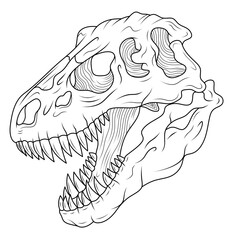 Tyrannosaurus skull with large sharp teeth drawn with lines. Bones of the dinosaur T. rex. A genus of large theropod dinosaurs.