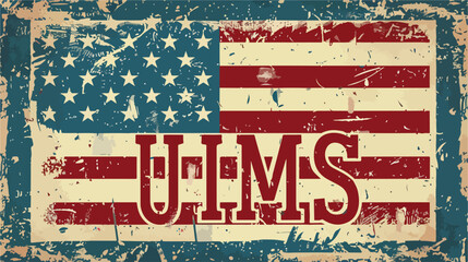 USA design over vintage background vector illustration