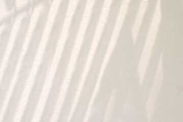 Obraz premium Abstract natural tree leaves shadow on white wall background