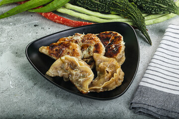 Japanese cuisine - traditional Gyoza dumplings