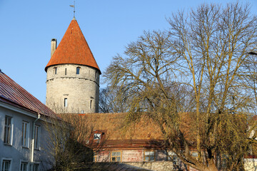 Fototapeta premium Stone tower and buildings in Tallinn old town, Estonia