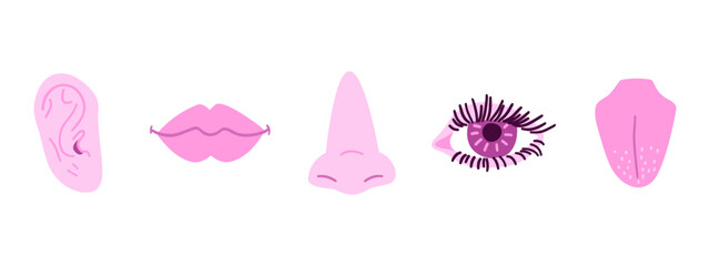Set of human organs with eye, nose, ear, tongue and mouth. Vector illustration in flat style.