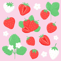 Collection of strawberries. Strawberry bushes and berries. Set of vector illustrations for package, print, flyer