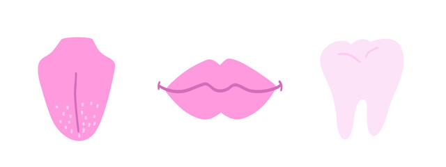 WebSet of human organs with tooth, lips and tongue. Vector illustration in flat style.